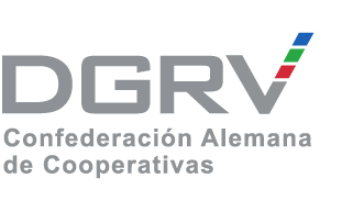 DGRV logo